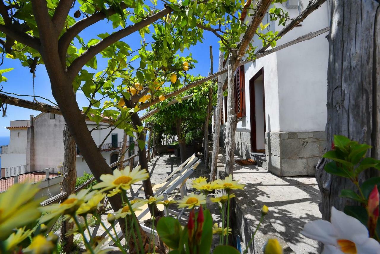 Dama Di Cuori Villa Conca dei Marini Bagian luar foto